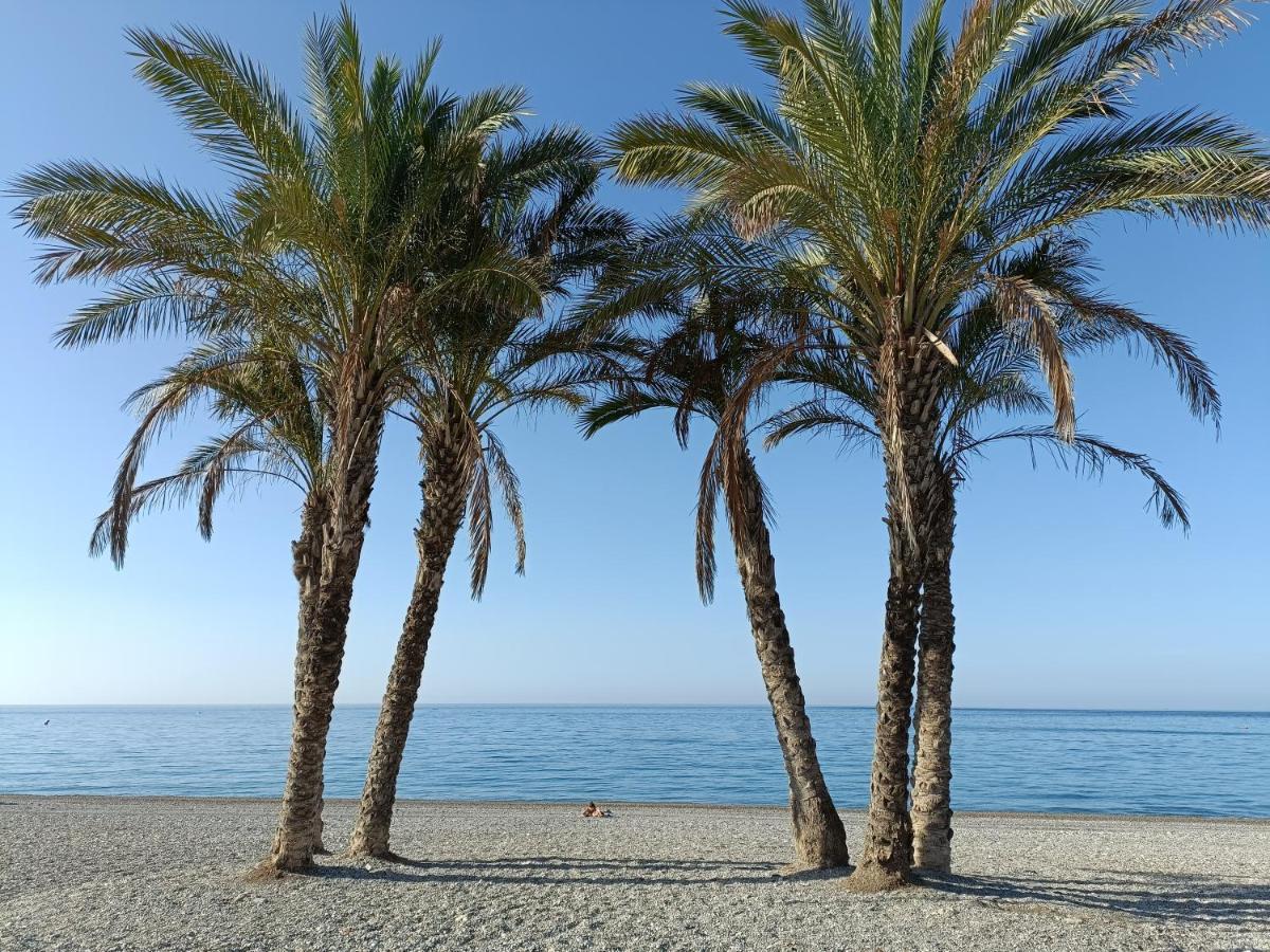 Apartamento Maravilla Tropical - La Herradura Almuñécar Екстериор снимка